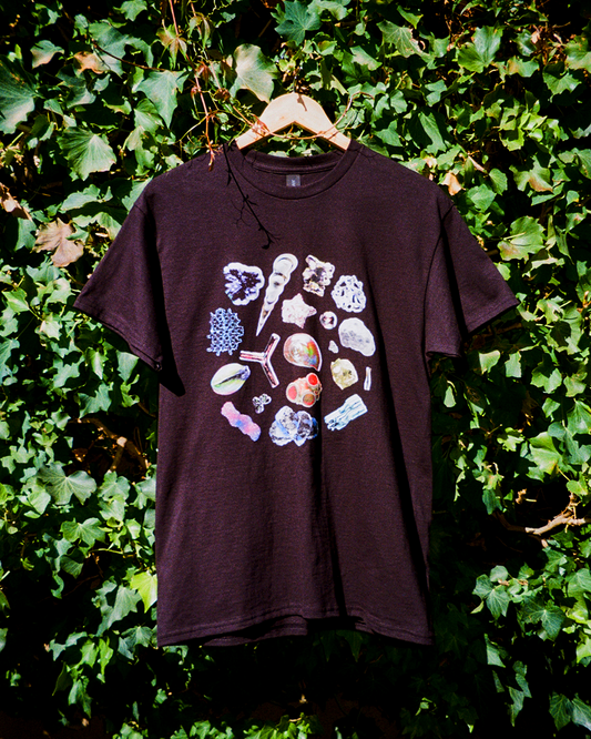 'Sand under the microscope' t-shirt