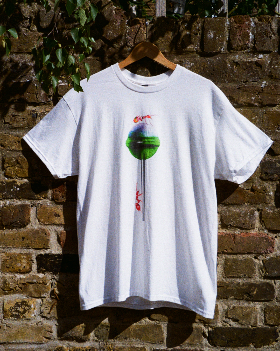 Lollipop with ants t-shirt