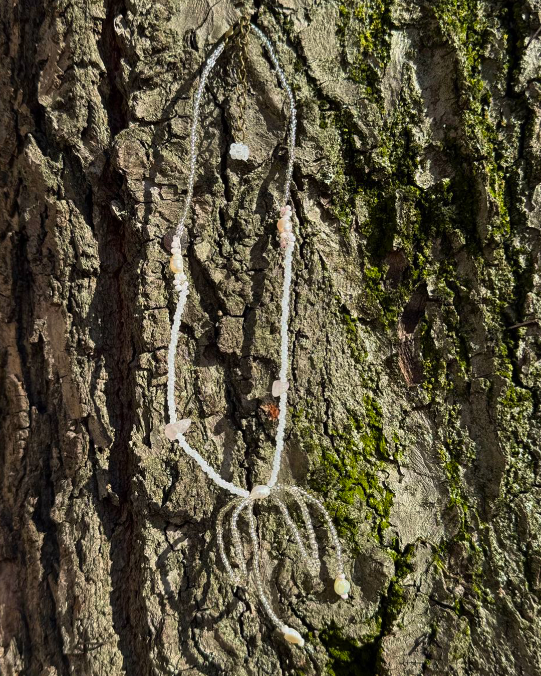 A bow necklace hanging on a tree trunk with moss