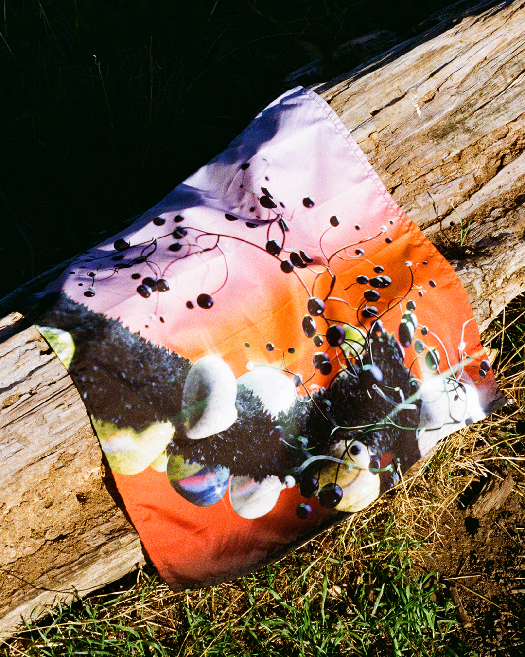 Sunset Gradient Bandana with Mushrooms and Bubbles