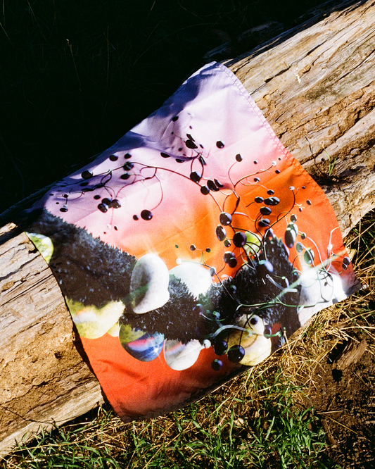 Sunset Gradient Bandana with Mushrooms and Bubbles