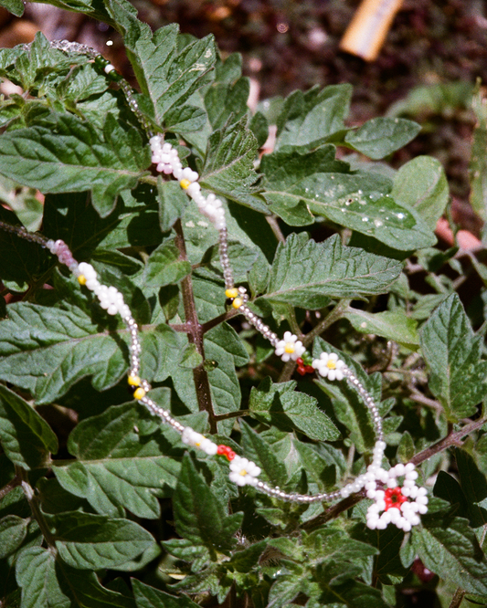 A close-up of a green leafy plant with several long strands of small white beads and tiny red and yellow accents hanging from the stems.